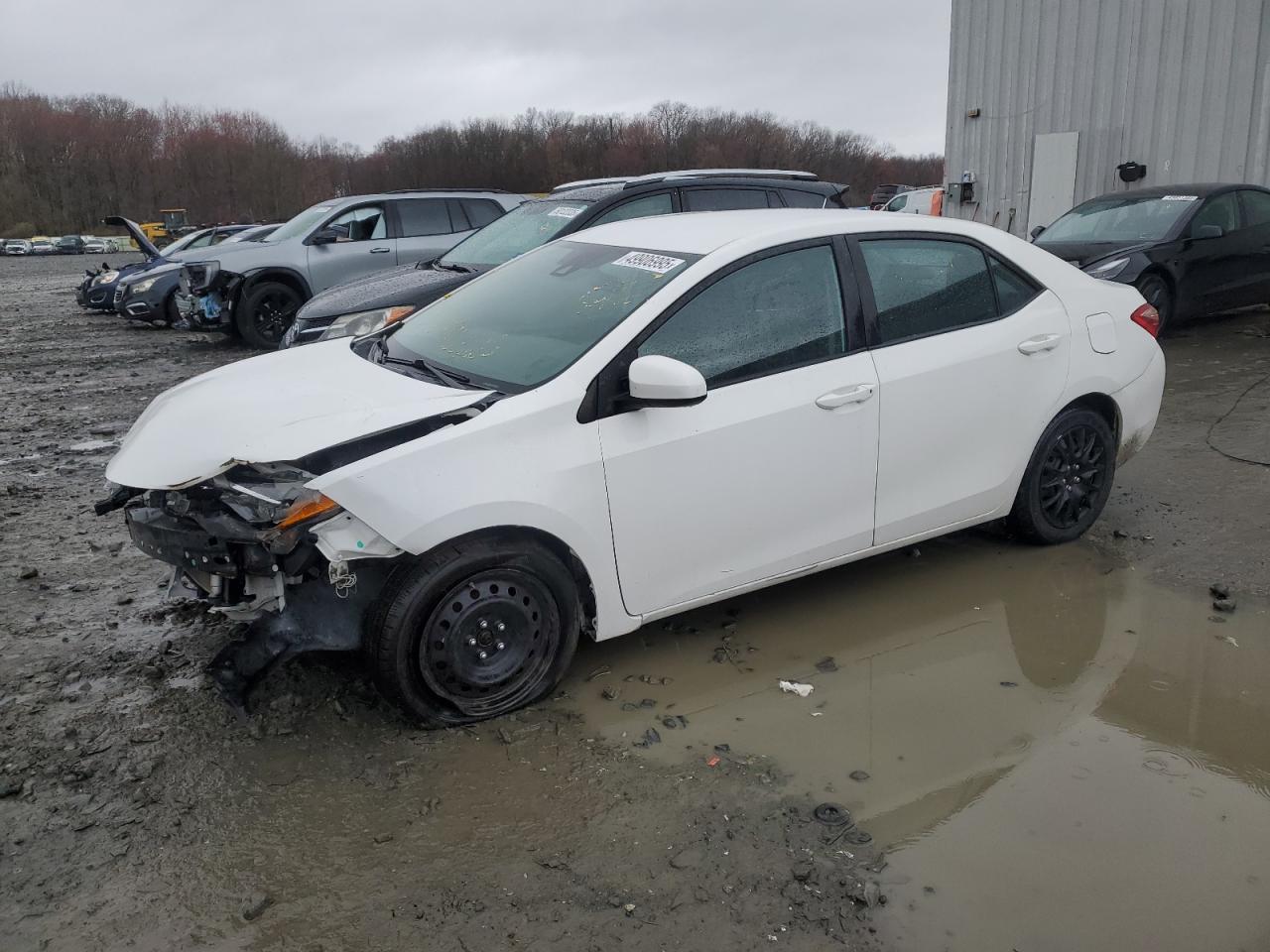 TOYOTA COROLLA L