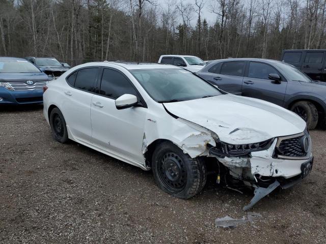 Vin: 19uub1f61ka800995, lot: 51055995, acura tlx technology 20194