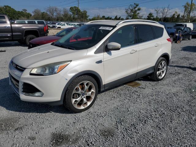 Vin: 1fmcu0j92eub55692, lot: 49245115, ford escape titanium 2014 img_1