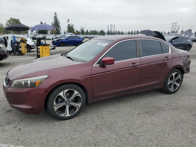 2010 HONDA ACCORD LXP #3157093121