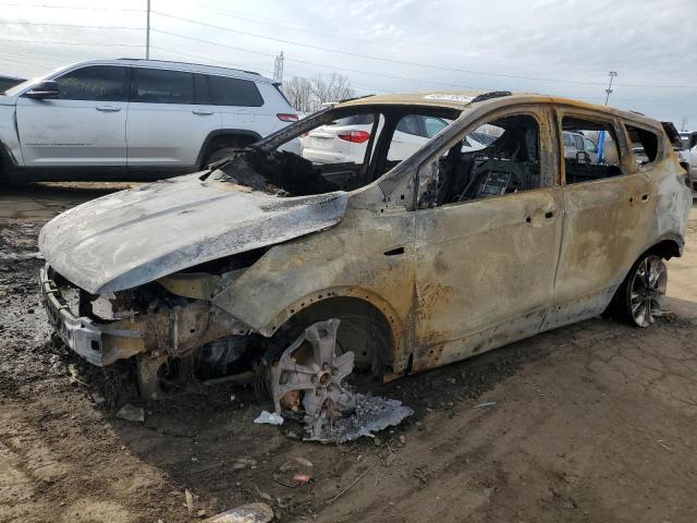 Vin: 1fmcu0gx1dub14474, lot: 49611525, ford escape se 2013 img_1
