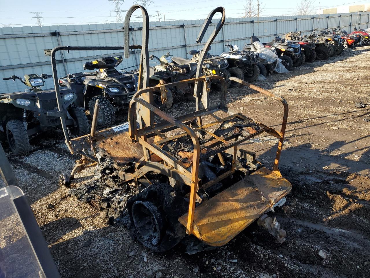 Lot #3178672519 2009 OTHER GOLF CART