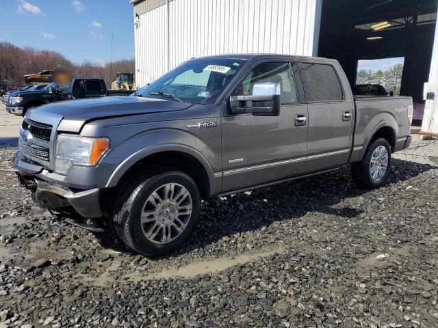 Vin: 1ftfw1et8bfd19146, lot: 49987955, ford f-150 supercrew 2011 img_1