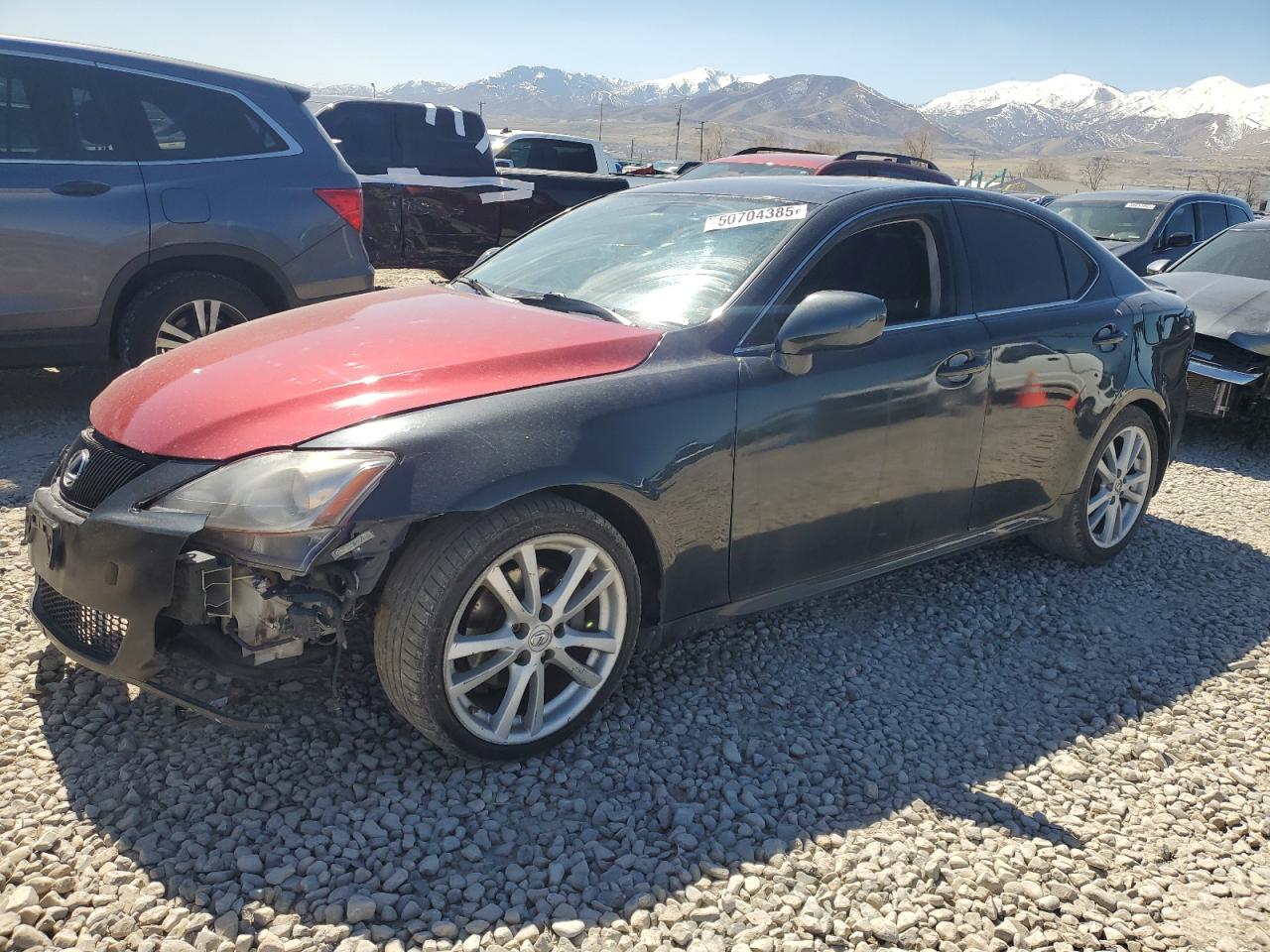 Lot #3259422329 2008 LEXUS IS 250