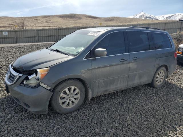 HONDA ODYSSEY EX