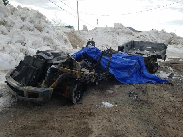 Global Auto Auctions: 2017 FORD F250 SUPER