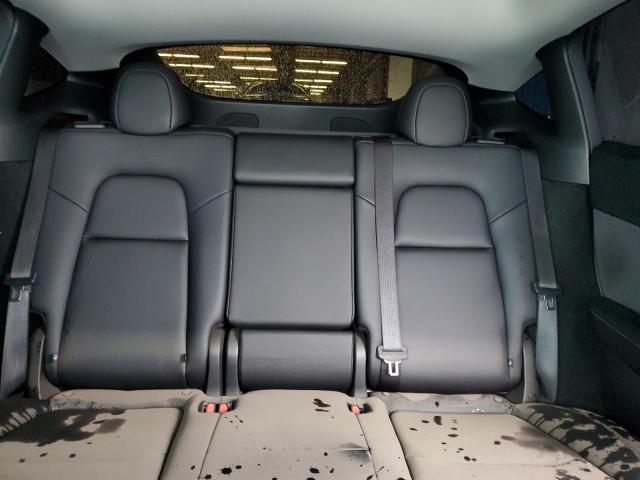 2025 TESLA MODEL Y - 7SAYGDEE1SF237047