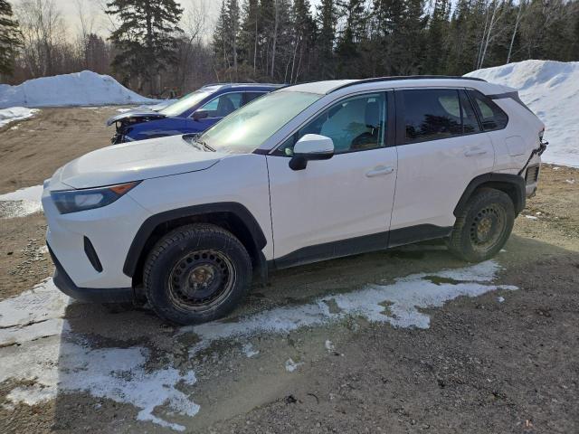 Vin: 2t3b1rfvxkc046268, lot: 49203435, toyota rav4 le 2019 img_1