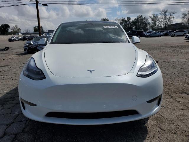 2024 TESLA MODEL Y - 7SAYGDED5RF158952