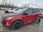 Top Destinations for Shipping Cars from the USA