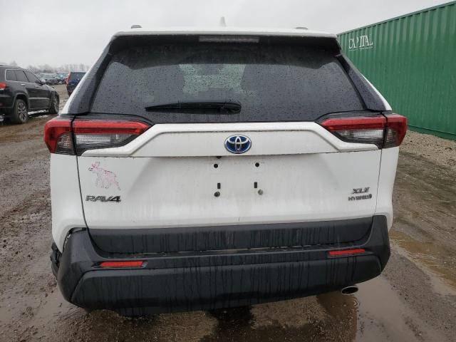 2019 TOYOTA RAV4 XLE - 2T3RWRFV6KW028364