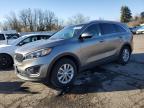 Top Destinations for Shipping Cars from the USA