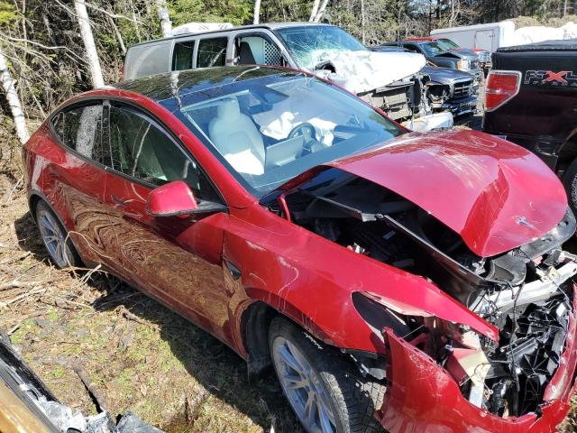Vin: 7saygdee0rf084798, lot: 45742835, tesla model y 20244