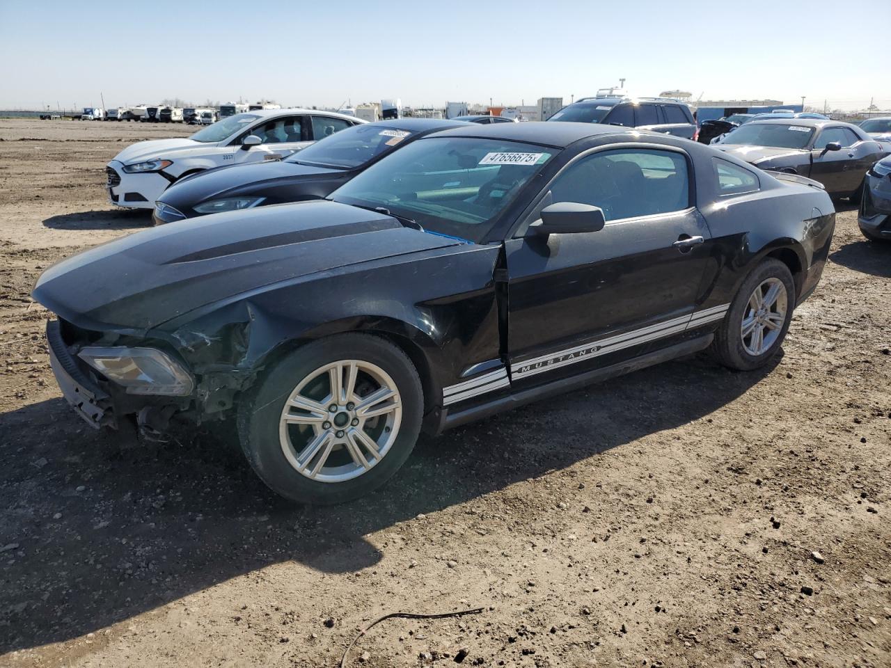 FORD MUSTANG