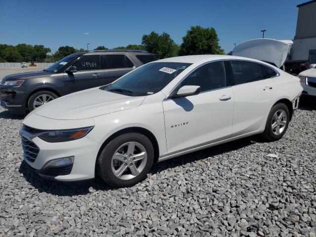 Vin: 1g1zc5st3rf203907, lot: 50805295, chevrolet malibu ls 2024 img_1