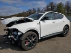 2024 DODGE HORNET R/T - ZACPDFDW8R3A28180