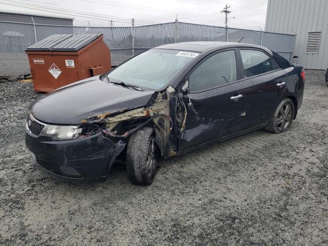 KIA FORTE EX