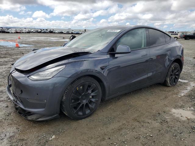 TESLA MODEL Y 2021 charcoal  electric 5YJYGDEE7MF283966 photo #1