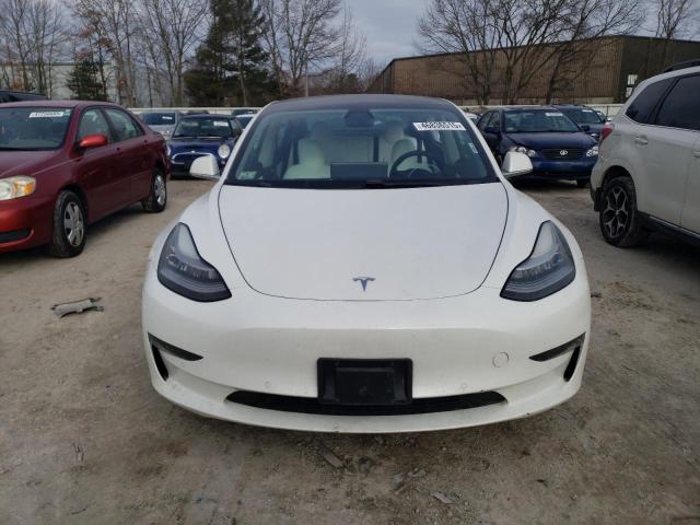 2019 TESLA MODEL 3 - 5YJ3E1EA6KF444817