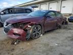 2017 NISSAN MAXIMA 3.5 - 1N4AA6AP5HC392201