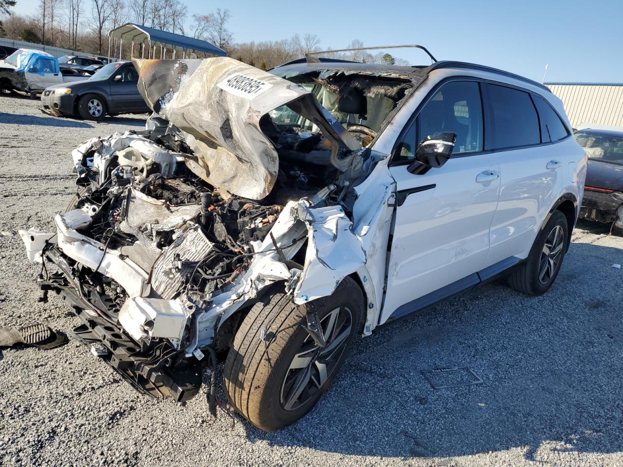 5XYRH4LFXPG180681 KIA SORENTO EX 2023