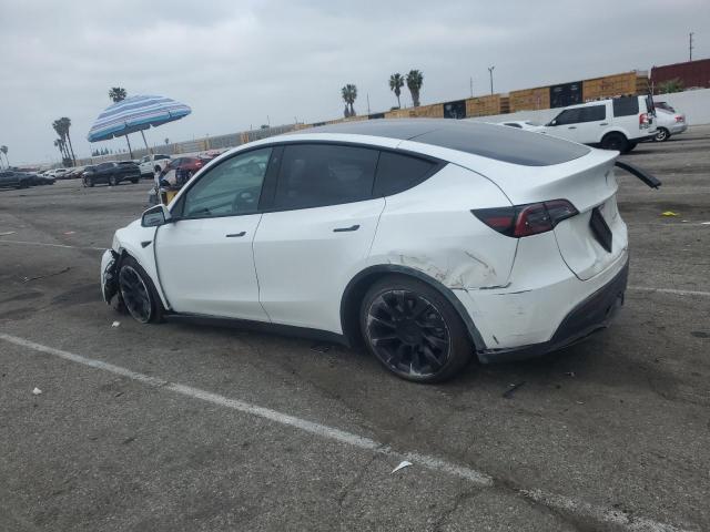 2023 TESLA MODEL Y - 7SAYGDEE3PF583883