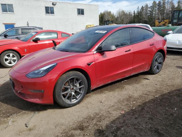 Vin: lrw3e1eb4pc941939, lot: 49687085, tesla model 3 2023 img_1