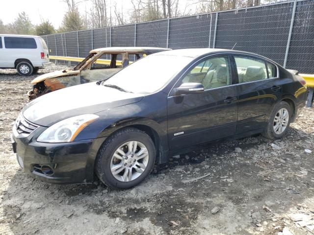 Vin: 1n4cl2ap4ac190807, lot: 48370205, nissan altima hybrid 2010 img_1