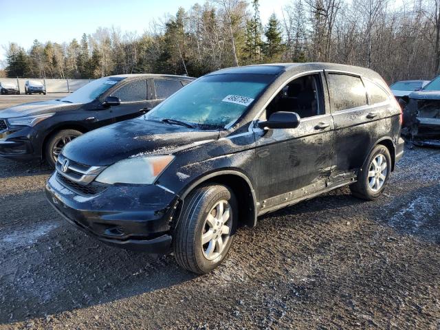 Vin: 5j6re3h31al803032, lot: 49507595, honda crv lx 2010 img_1