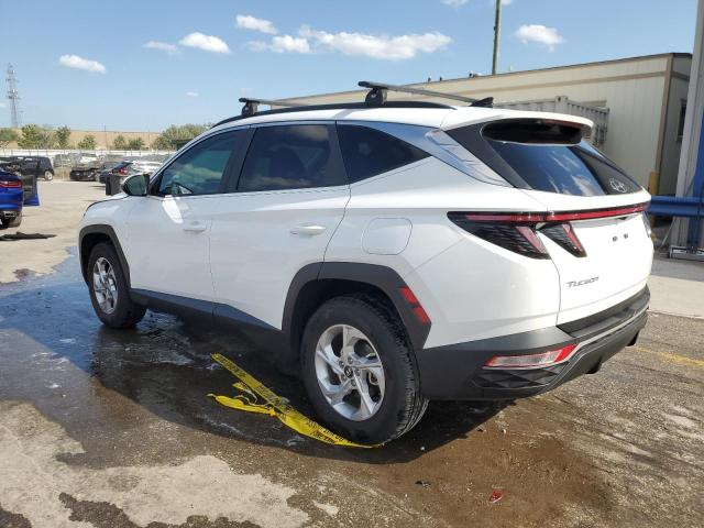 Vin: 5nmjbcae8ph242054, lot: 50037705, hyundai tucson sel 20232