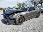1ZVBP8AM5E5203414 FORD MUSTANG Photo 1