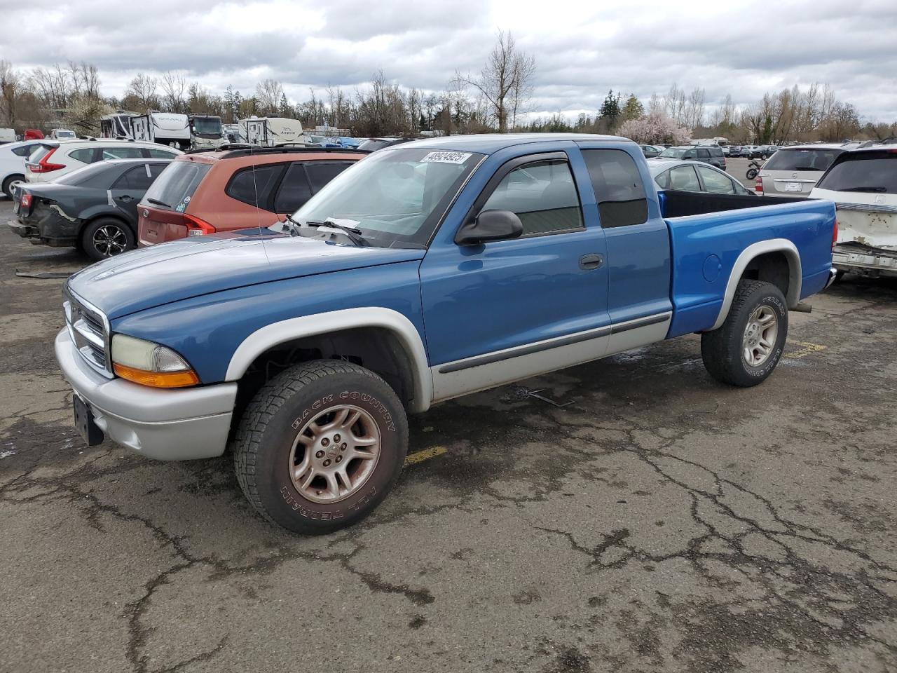 Lot #3156490971 2004 DODGE DAKOTA SLT