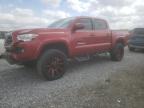 2019 TOYOTA TACOMA DOU - 3TMCZ5AN2KM217172