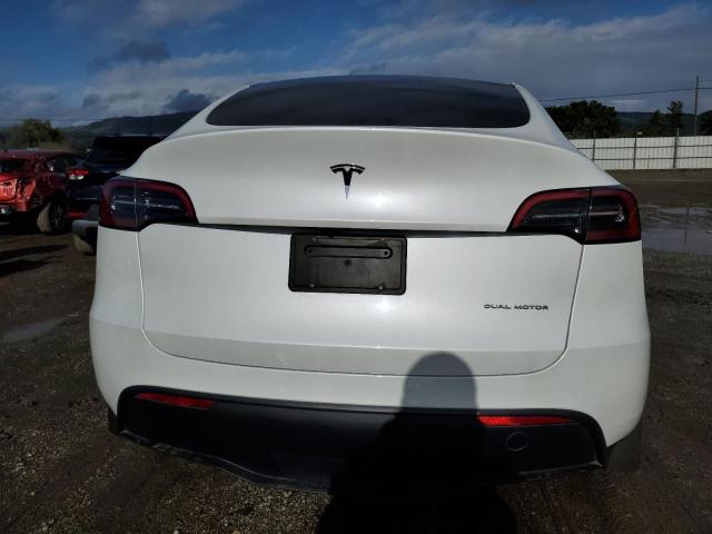 2023 TESLA MODEL Y - 7SAYGDEEXPF844622