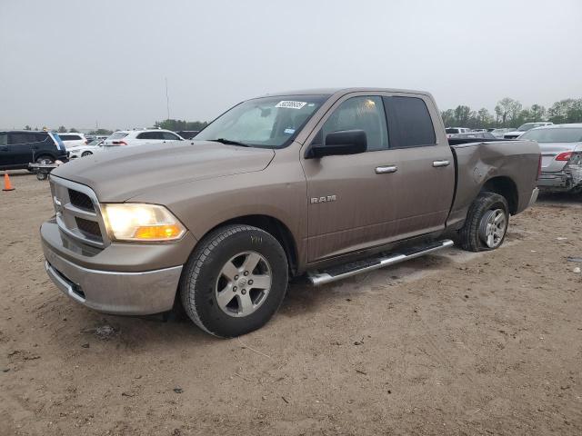 Vin: 1d7rb1gp3as115939, lot: 50208935, dodge all models 2010 img_1