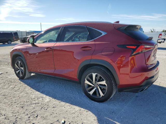 2020 LEXUS NX 300 JTJGARBZ1L5017700