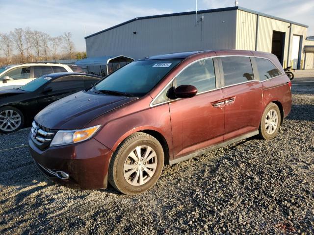 Vin: 5fnrl5h38gb129450, lot: 49069535, honda odyssey se 2016 img_1