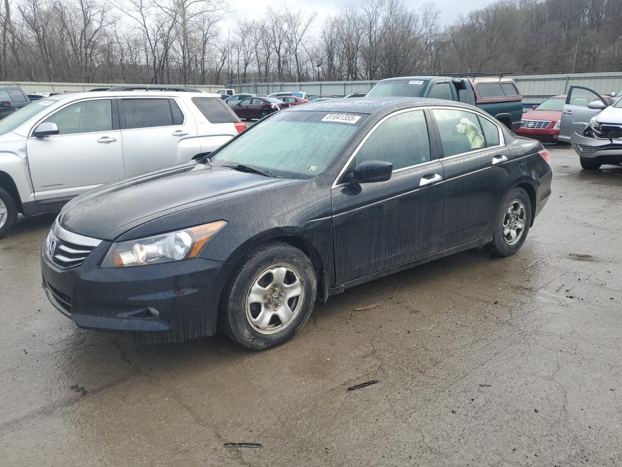 HONDA ACCORD EXL