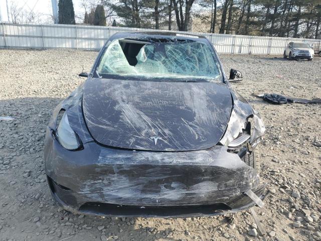 2025 TESLA MODEL Y - 7SAYGDEE9SF224174