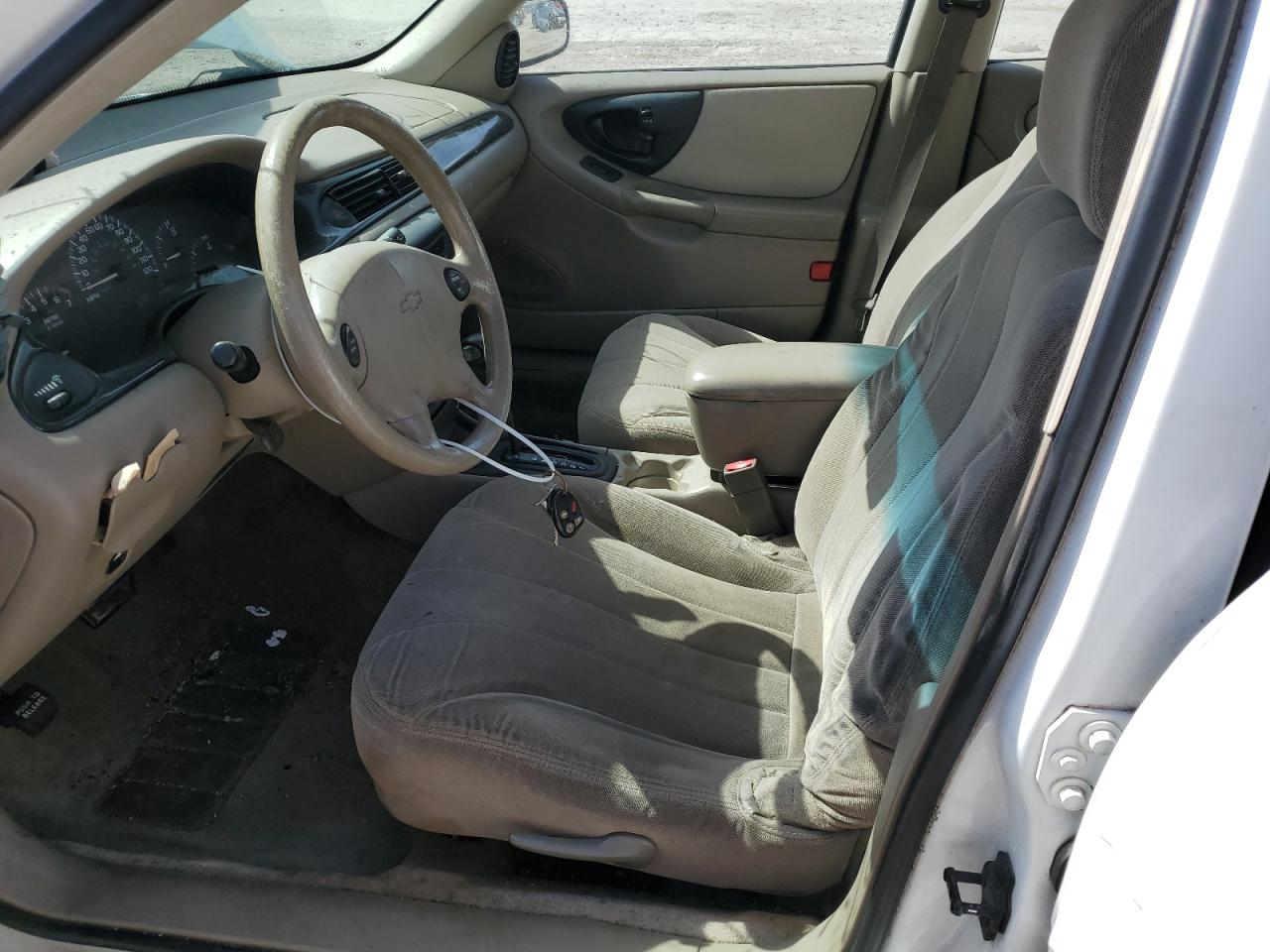 Global Auto Auctions