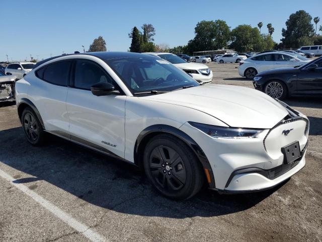 Vin: 3fmtk2r74mma36159, lot: 48935195, ford mustang california route 1 20214