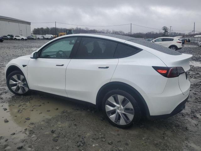 2023 TESLA MODEL Y - 7SAYGDEE1PA061704