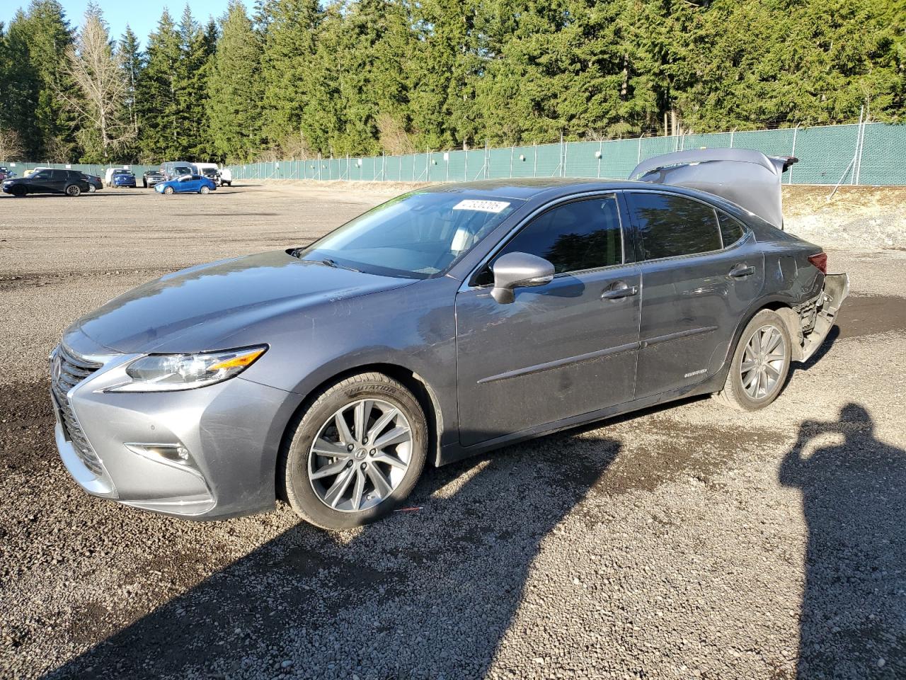 JTHBW1GG4J2190759 LEXUS ES 300H 2018