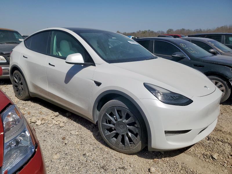 2021 TESLA MODEL Y - 5YJYGDEE8MF125037