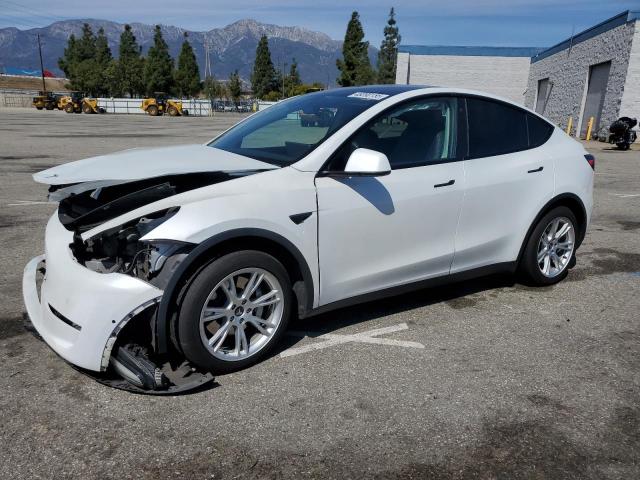 Vin: 5yjygdee1lf031953, lot: 48390155, tesla model y 2020 img_1