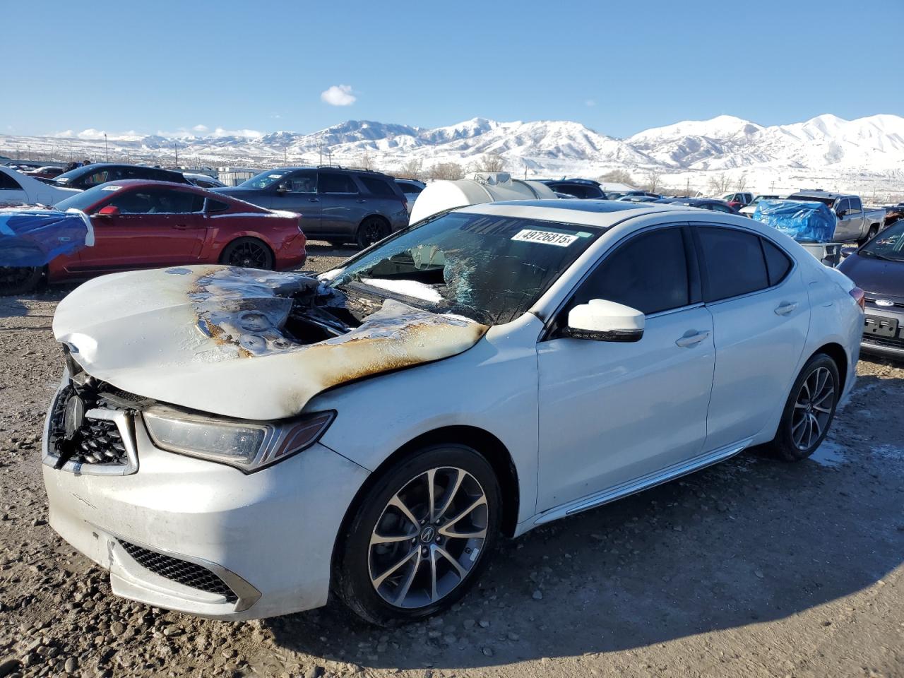 ACURA TLX TECH