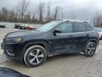 2019 JEEP CHEROKEE L - 1C4PJMDX7KD268890