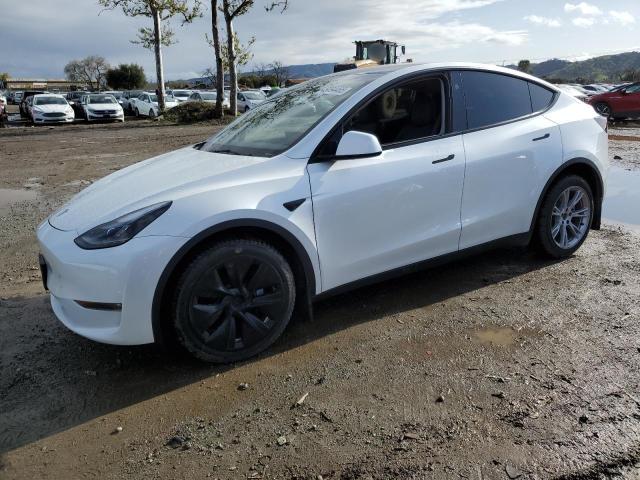 TESLA MODEL Y 2023 white  electric 7SAYGDEEXPF844622 photo #1