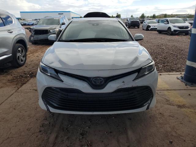 2019 TOYOTA CAMRY LE - 4T1B31HK2KU515634