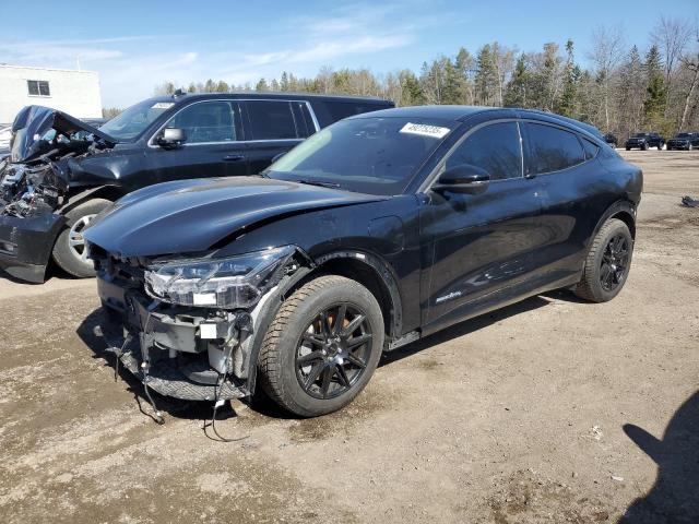 FORD MUSTANG PREMIUM